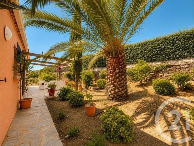 maison à vendre - 6 pièces - 156.29 m2 - OLETTA - 202 - CORSE - Century 21 Dary Immobilier