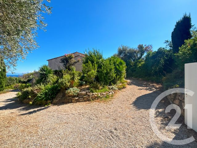 maison à vendre - 6 pièces - 144.6 m2 - MONTICELLO - 202 - CORSE - Century 21 Dary Immobilier