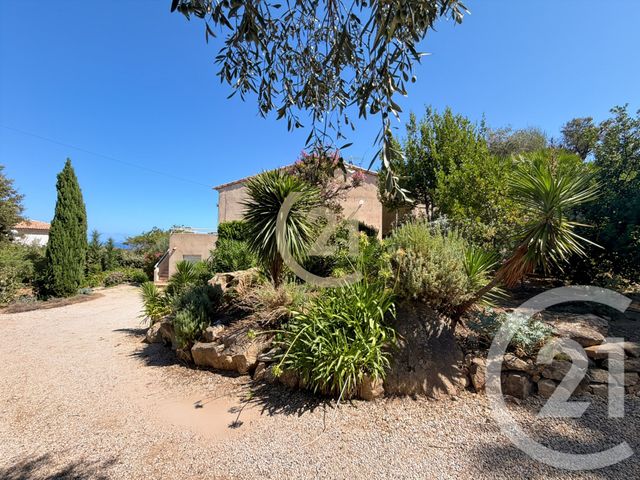 maison à vendre - 6 pièces - 144.6 m2 - MONTICELLO - 202 - CORSE - Century 21 Dary Immobilier