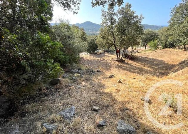 terrain à vendre - 2760.0 m2 - BELGODERE - 202 - CORSE - Century 21 Dary Immobilier