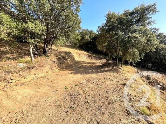 terrain à vendre - 2760.0 m2 - BELGODERE - 202 - CORSE - Century 21 Dary Immobilier