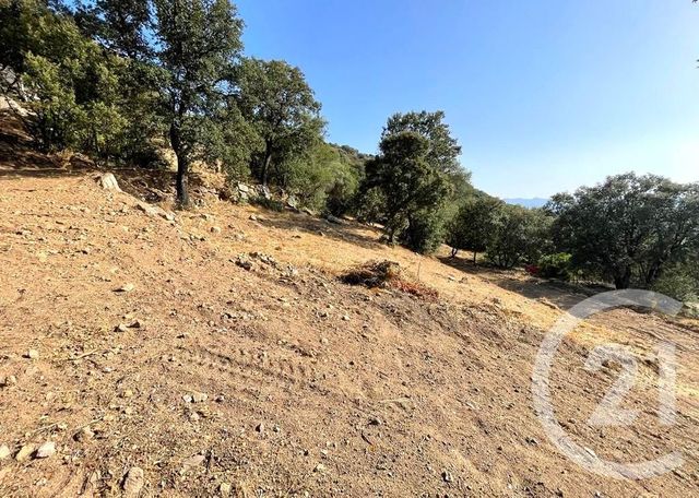 terrain à vendre - 2760.0 m2 - BELGODERE - 202 - CORSE - Century 21 Dary Immobilier