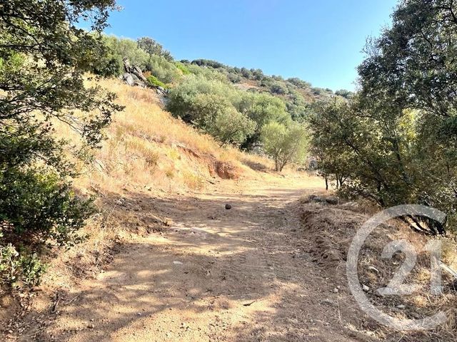 terrain à vendre - 2760.0 m2 - BELGODERE - 202 - CORSE - Century 21 Dary Immobilier
