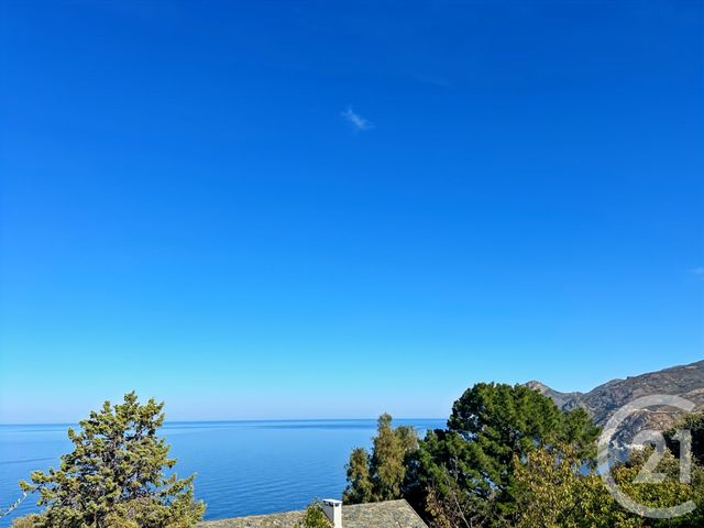 terrain à vendre - 2039.0 m2 - CANARI - 202 - CORSE - Century 21 Dary Immobilier