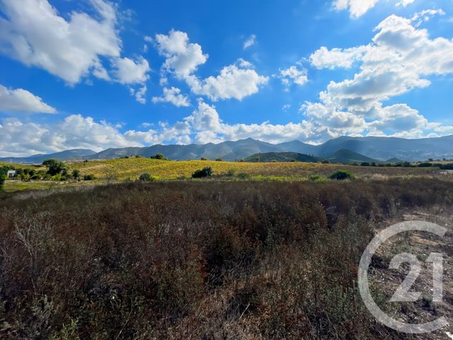 maison à vendre - 3 pièces - 77.83 m2 - OLETTA - 202 - CORSE - Century 21 Dary Immobilier