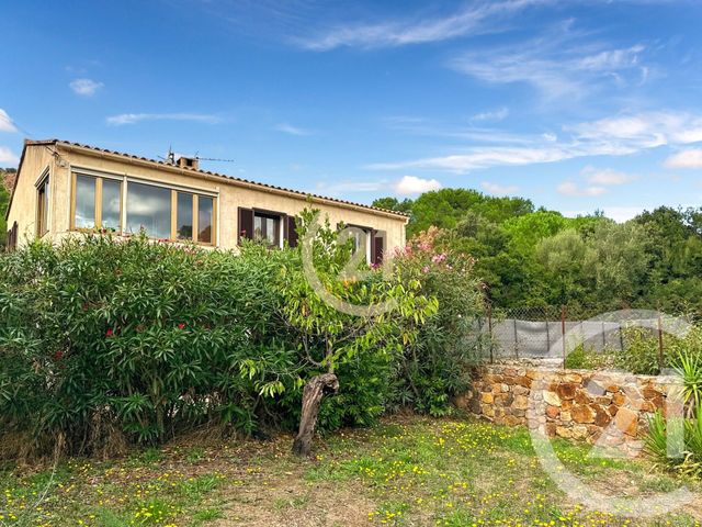 maison à vendre - 6 pièces - 125.38 m2 - GALERIA - 202 - CORSE - Century 21 Dary Immobilier