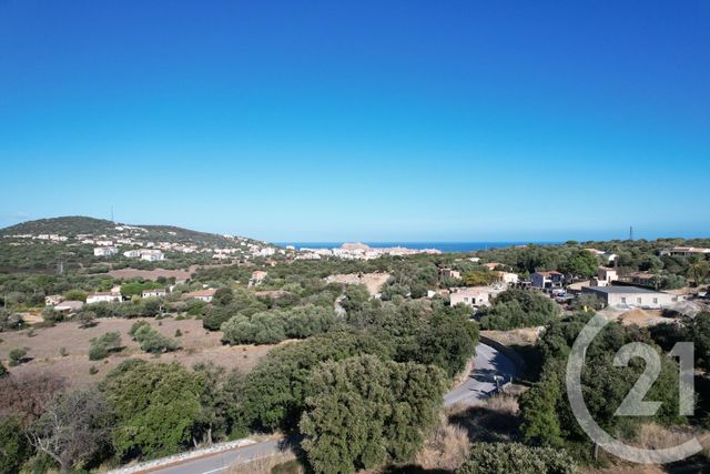 terrain - MONTICELLO - 202