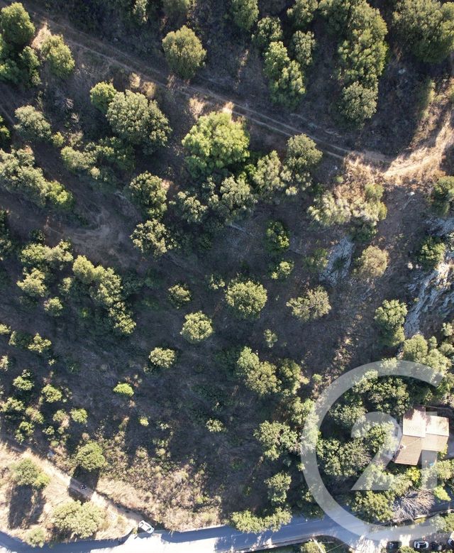 Afficher la photo en grand terrain à vendre - 3502.0 m2 - MONTICELLO - 202 - CORSE - Century 21 Dary Immobilier