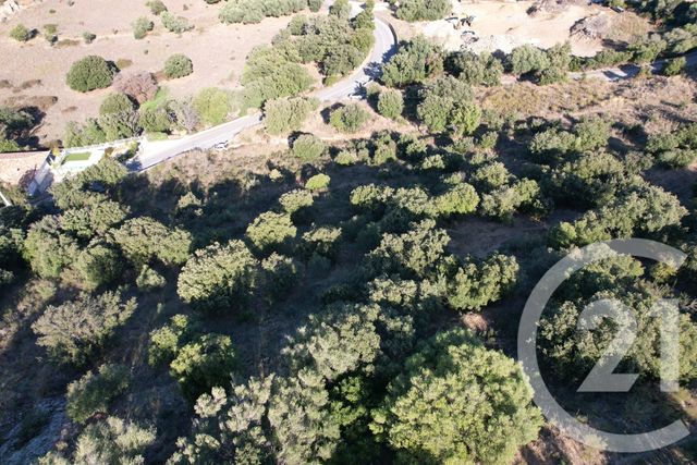 Afficher la photo en grand terrain à vendre - 3502.0 m2 - MONTICELLO - 202 - CORSE - Century 21 Dary Immobilier