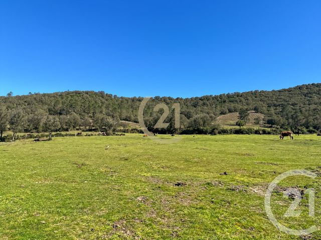 maison à vendre - 5 pièces - 87.0 m2 - CASTIRLA - 202 - CORSE - Century 21 Dary Immobilier