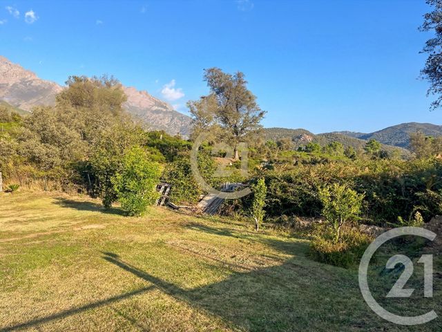 maison à vendre - 5 pièces - 87.0 m2 - CASTIRLA - 202 - CORSE - Century 21 Dary Immobilier