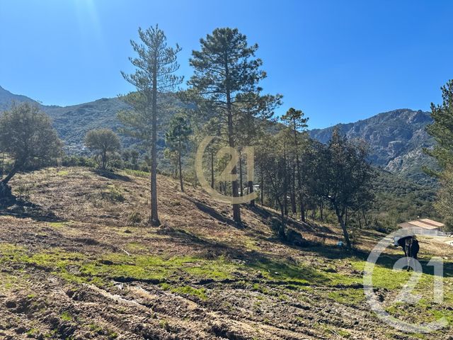 maison à vendre - 5 pièces - 87.0 m2 - CASTIRLA - 202 - CORSE - Century 21 Dary Immobilier