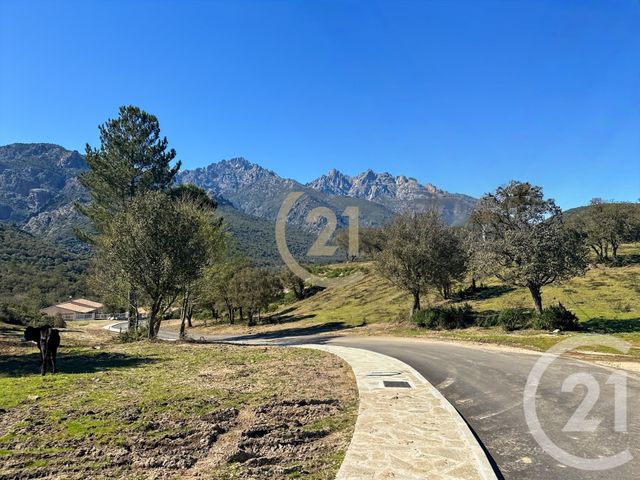 maison à vendre - 5 pièces - 87.0 m2 - CASTIRLA - 202 - CORSE - Century 21 Dary Immobilier