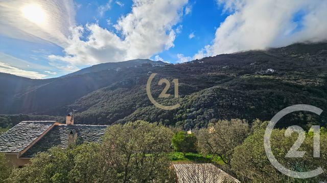 maison à vendre - 5 pièces - 149.08 m2 - SANTA MARIA DI LOTA - 202 - CORSE - Century 21 Dary Immobilier