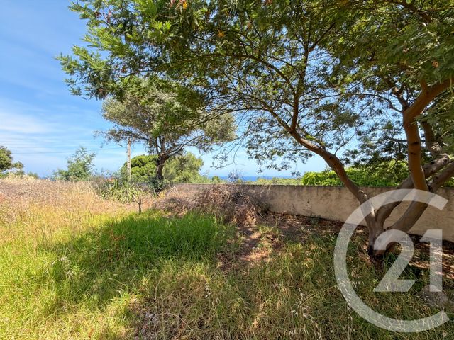 maison à vendre - 6 pièces - 147.47 m2 - MONTICELLO - 202 - CORSE - Century 21 Dary Immobilier