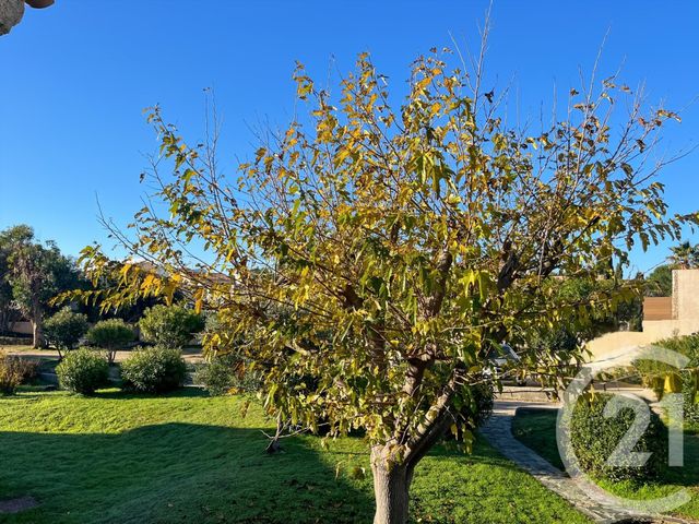 Appartement F2 bis à vendre - 3 pièces - 43.81 m2 - LUMIO - 202 - CORSE - Century 21 Dary Immobilier