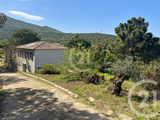 maison à vendre - 5 pièces - 122.68 m2 - SANTA REPARATA DI BALAGNA - 202 - CORSE - Century 21 Dary Immobilier