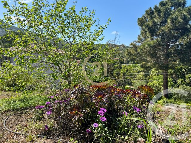 maison à vendre - 5 pièces - 122.68 m2 - SANTA REPARATA DI BALAGNA - 202 - CORSE - Century 21 Dary Immobilier