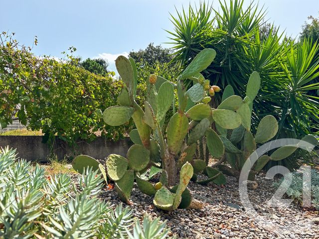 maison à vendre - 3 pièces - 50.0 m2 - OLETTA - 202 - CORSE - Century 21 Dary Immobilier