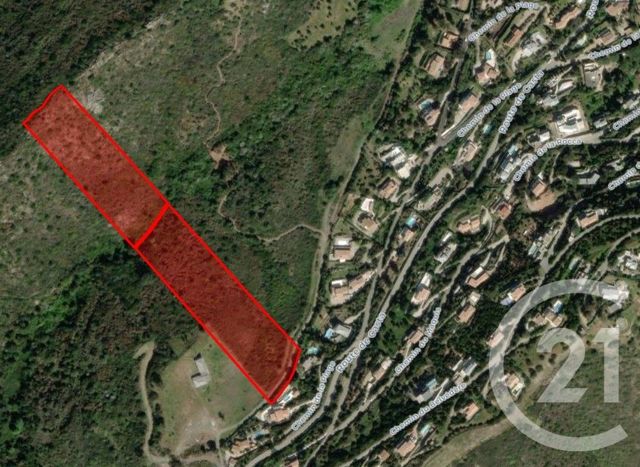 terrain à vendre - 26904.0 m2 - ST FLORENT - 202 - CORSE - Century 21 Dary Immobilier