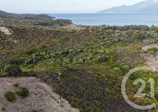 terrain à vendre - 26904.0 m2 - ST FLORENT - 202 - CORSE - Century 21 Dary Immobilier