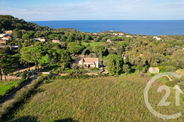 terrain à vendre - 2027.0 m2 - CORBARA - 202 - CORSE - Century 21 Dary Immobilier