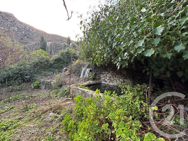 terrain à vendre - 585.0 m2 - OCCHIATANA - 202 - CORSE - Century 21 Dary Immobilier