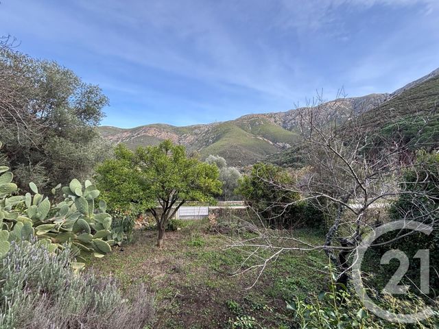 terrain à vendre - 585.0 m2 - OCCHIATANA - 202 - CORSE - Century 21 Dary Immobilier