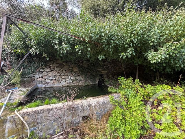 terrain à vendre - 585.0 m2 - OCCHIATANA - 202 - CORSE - Century 21 Dary Immobilier