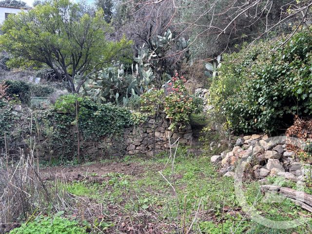 terrain à vendre - 585.0 m2 - OCCHIATANA - 202 - CORSE - Century 21 Dary Immobilier