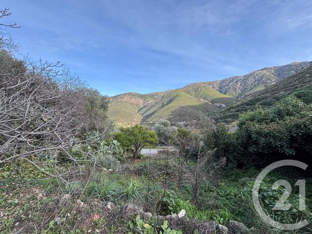 Terrain à vendre OCCHIATANA