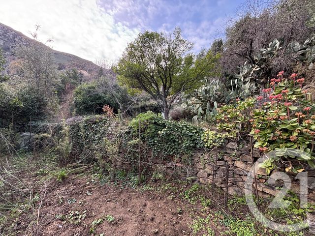 terrain à vendre - 585.0 m2 - OCCHIATANA - 202 - CORSE - Century 21 Dary Immobilier