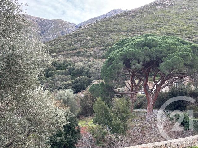 terrain à vendre - 585.0 m2 - OCCHIATANA - 202 - CORSE - Century 21 Dary Immobilier
