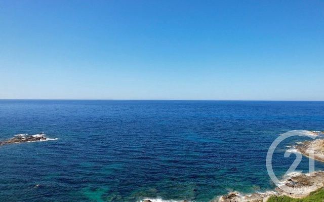 maison à vendre - 6 pièces - 254.0 m2 - CORBARA - 202 - CORSE - Century 21 Dary Immobilier