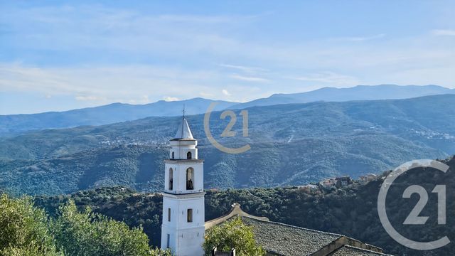 maison à vendre - 8 pièces - 272.04 m2 - SANTO PIETRO DI TENDA - 202 - CORSE - Century 21 Dary Immobilier