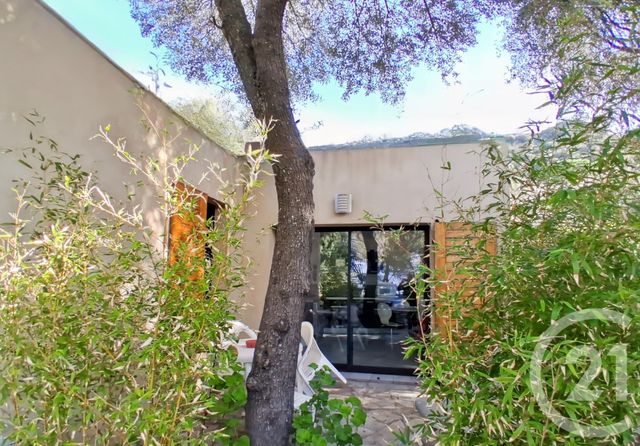 maison à vendre - 5 pièces - 128.0 m2 - LUMIO - 202 - CORSE - Century 21 Dary Immobilier