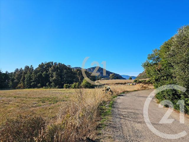Appartement T2 à vendre - 2 pièces - 40.69 m2 - PATRIMONIO - 202 - CORSE - Century 21 Dary Immobilier
