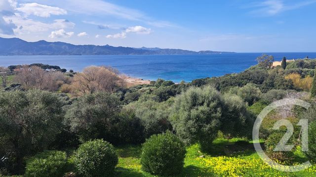 Appartement T3 à vendre - 3 pièces - 75.69 m2 - PATRIMONIO - 202 - CORSE - Century 21 Dary Immobilier