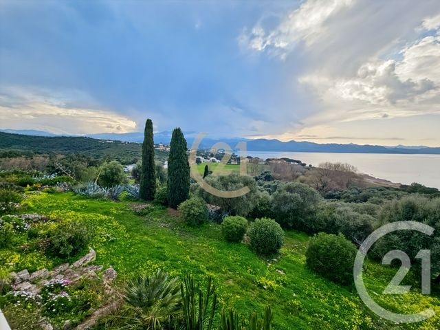 Appartement T3 à vendre - 3 pièces - 75.69 m2 - PATRIMONIO - 202 - CORSE - Century 21 Dary Immobilier
