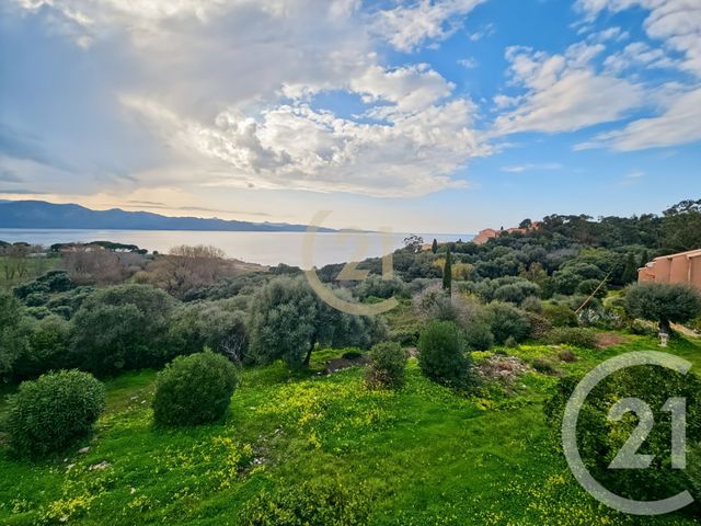 Appartement T3 à vendre - 3 pièces - 75.69 m2 - PATRIMONIO - 202 - CORSE - Century 21 Dary Immobilier