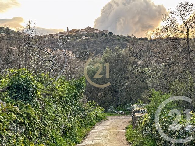 terrain - VILLE DI PARASO - 202