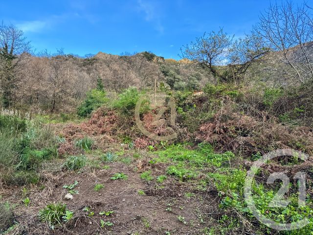 terrain à vendre - 1822.0 m2 - VILLE DI PARASO - 202 - CORSE - Century 21 Dary Immobilier