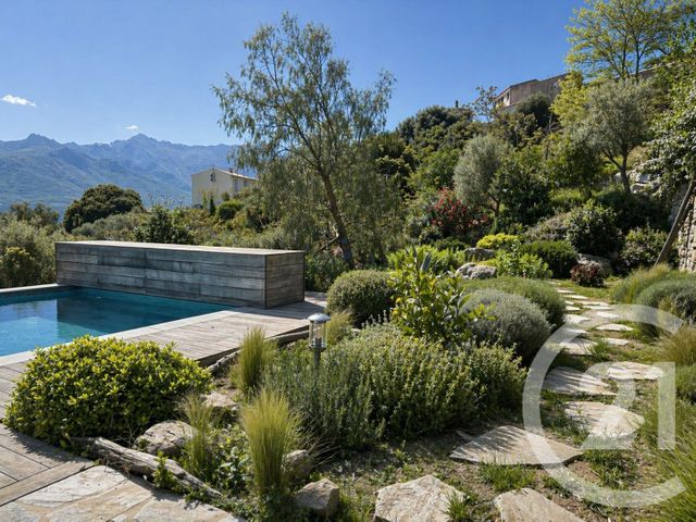 maison à vendre - 4 pièces - 143.0 m2 - SANTA REPARATA DI BALAGNA - 202 - CORSE - Century 21 Dary Immobilier