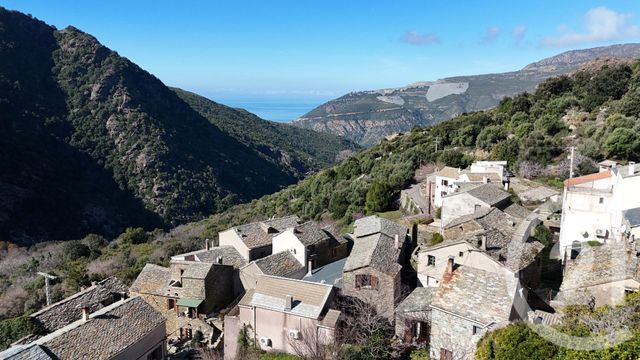 Maison à vendre OLCANI