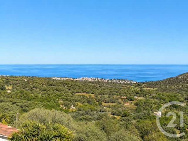 maison à vendre - 8 pièces - 242.28 m2 - MONTICELLO - 202 - CORSE - Century 21 Dary Immobilier