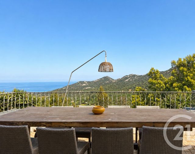 maison à vendre - 8 pièces - 242.28 m2 - MONTICELLO - 202 - CORSE - Century 21 Dary Immobilier