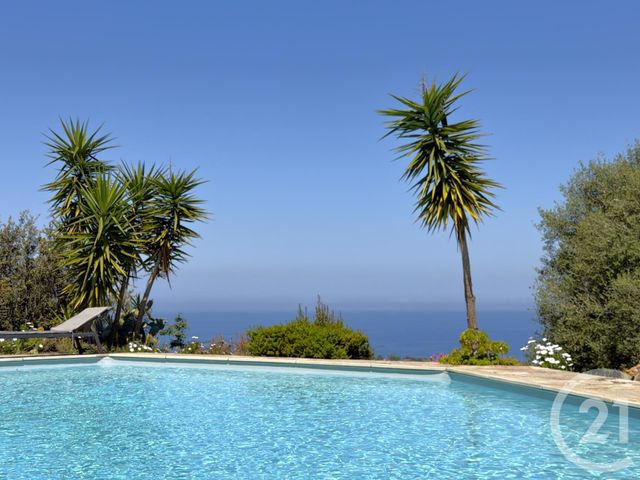 maison à vendre - 8 pièces - 239.0 m2 - MONTICELLO - 202 - CORSE - Century 21 Dary Immobilier