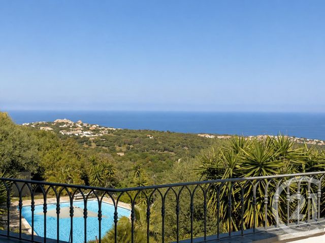 maison à vendre - 8 pièces - 242.28 m2 - MONTICELLO - 202 - CORSE - Century 21 Dary Immobilier