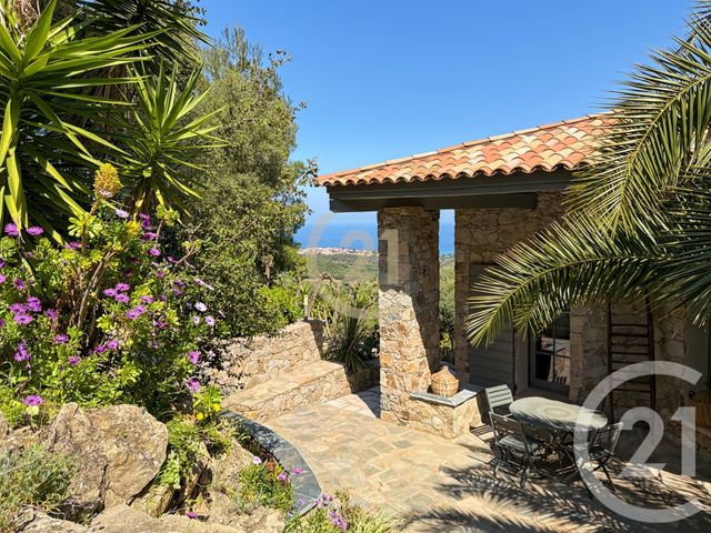 maison à vendre - 8 pièces - 239.0 m2 - MONTICELLO - 202 - CORSE - Century 21 Dary Immobilier