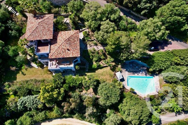 maison à vendre - 8 pièces - 239.0 m2 - MONTICELLO - 202 - CORSE - Century 21 Dary Immobilier